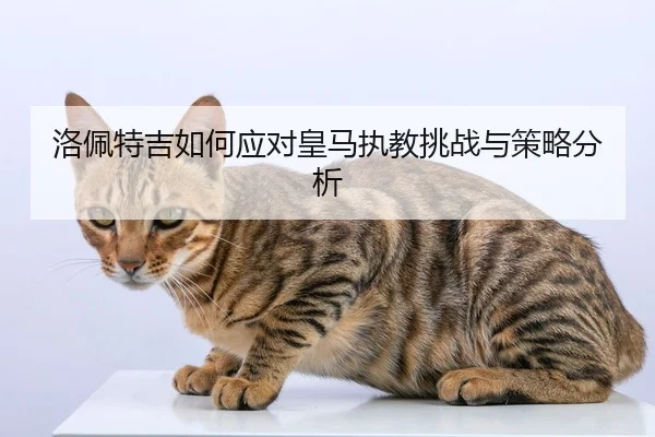 洛佩特吉如何应对皇马执教挑战与策略分析